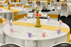 Photo-from-Siva-Sivayogan